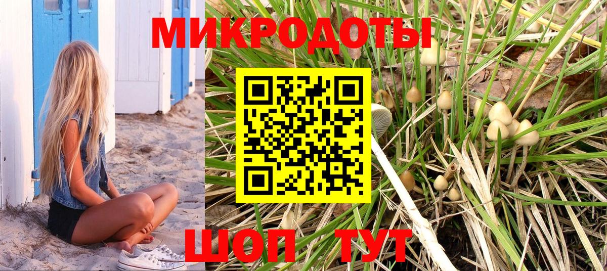 Галлюциногенные грибы MAGIC MUSHROOMS Новороссийск