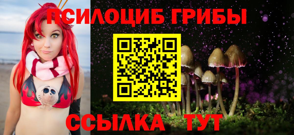 Галлюциногенные грибы мухоморы  Вход с VPN  Галлюциногенные грибы прущие грибы  Новороссийск 
